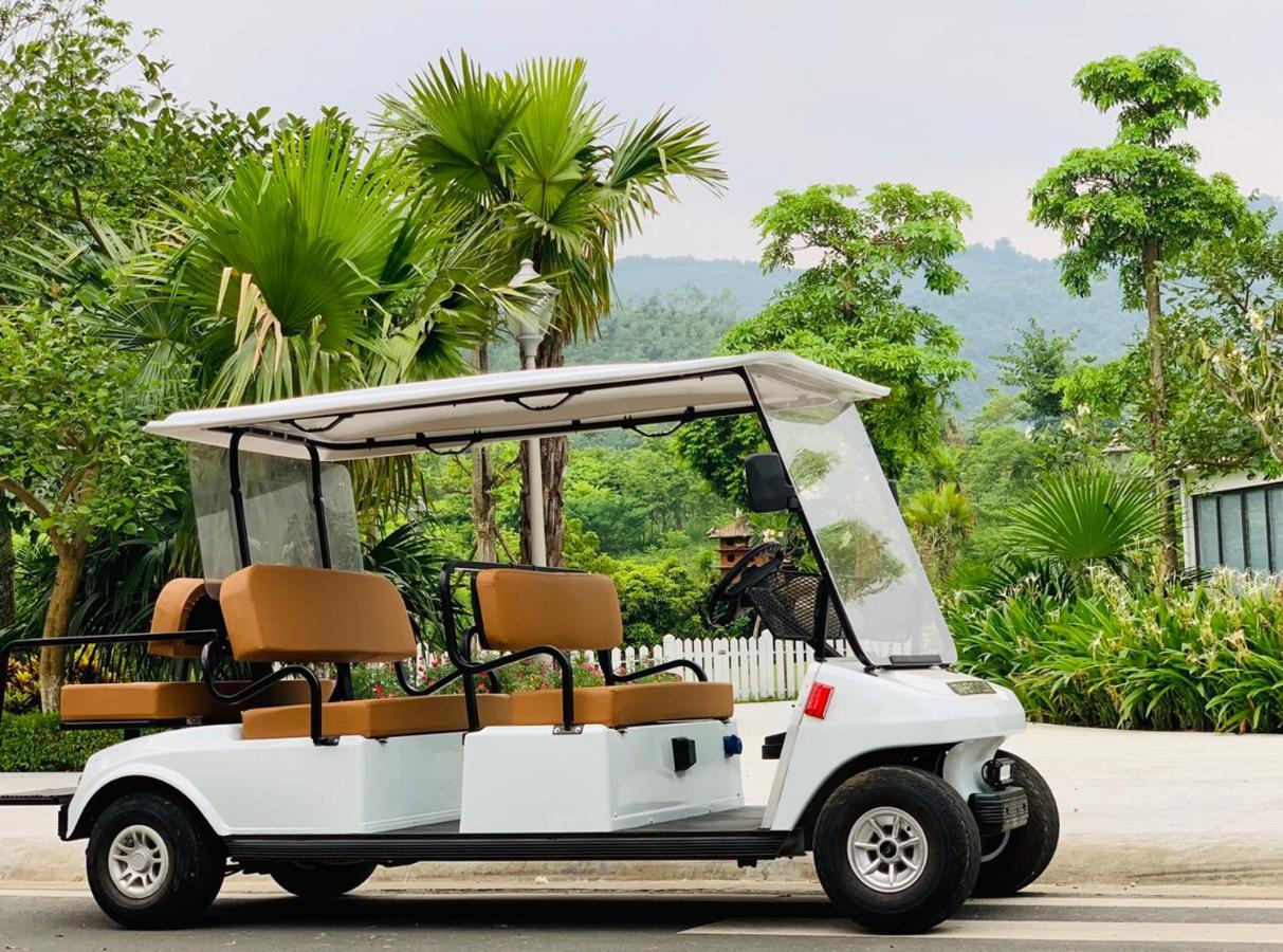 Villa Xanh & Luxury